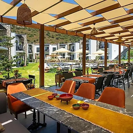 Hotel Dadya Bora